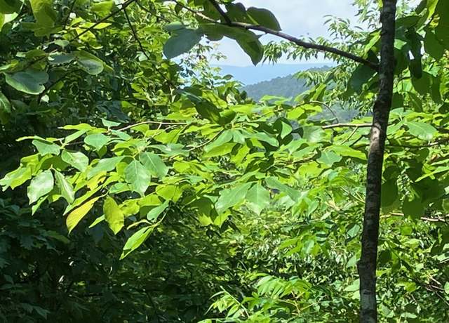 Property at Tbd Tract 5 Thompson Creek Ln, Mena, AR 71953