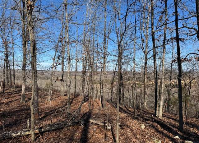 Property at 60 B Tablerock Rd, Evening Shade, AR 72532