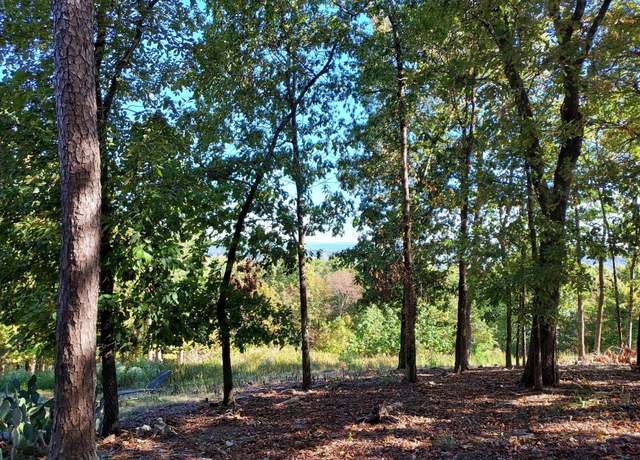 Property at 126 Mesero Way, Hot Springs Village, AR 71909