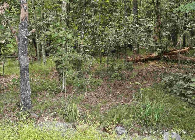 Property at 65 Justa Via Way, Hot Springs Village, AR 71909