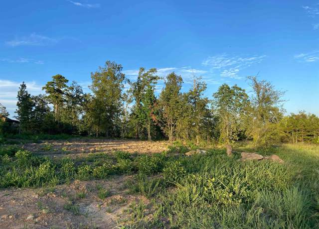 Photo of 12 The Bluffs Dr Lot 12, Greers Ferry, AR 72067