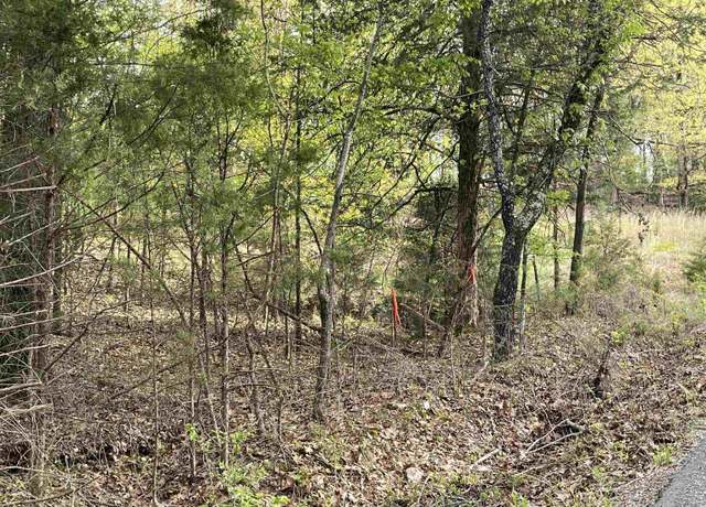 Property at 49/50 Mc 7002 Lot 49/50, Flippin, AR 72634