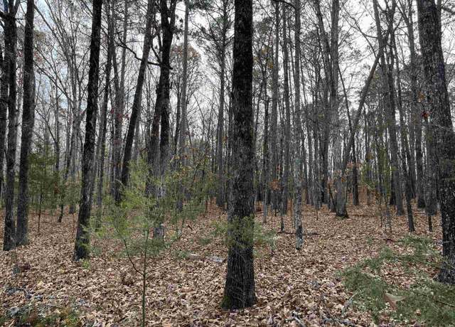 Property at 307 Tannenbaum Rd Lot 307, Drasco, AR 72530