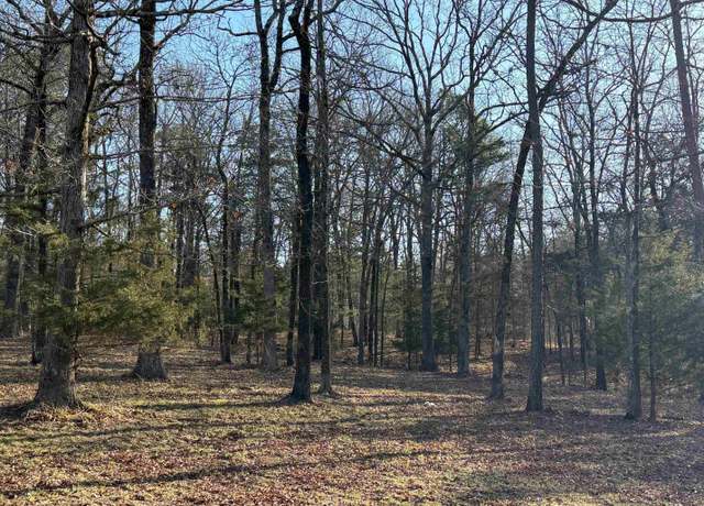 Property at Tbd Polk Road 168 Lot 3, Mena, AR 71953