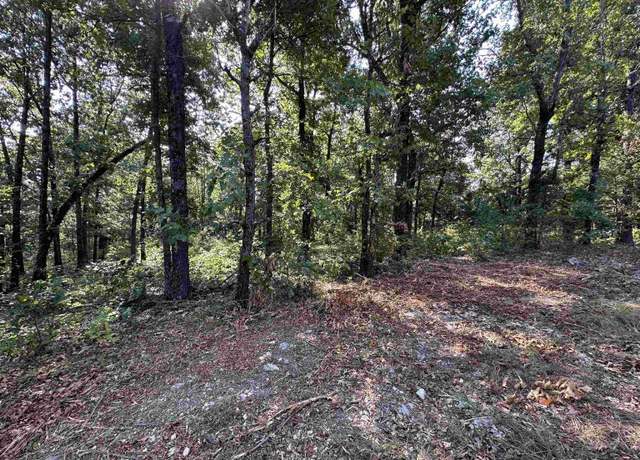 Property at 600,602,604 Pavilion Ln, Horseshoe Bend, AR 72512