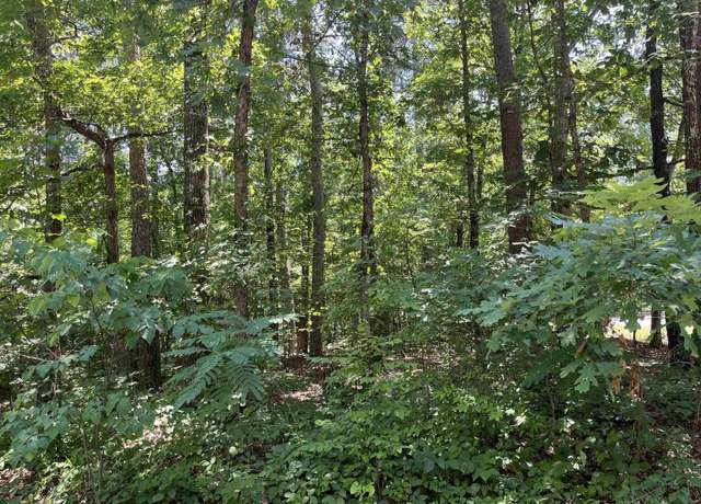 Property at 106 Murillo Way, Hot Springs Village, AR 71909