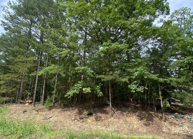 Property at 102 Salvatierra Way, Hot Springs Village, AR 71909