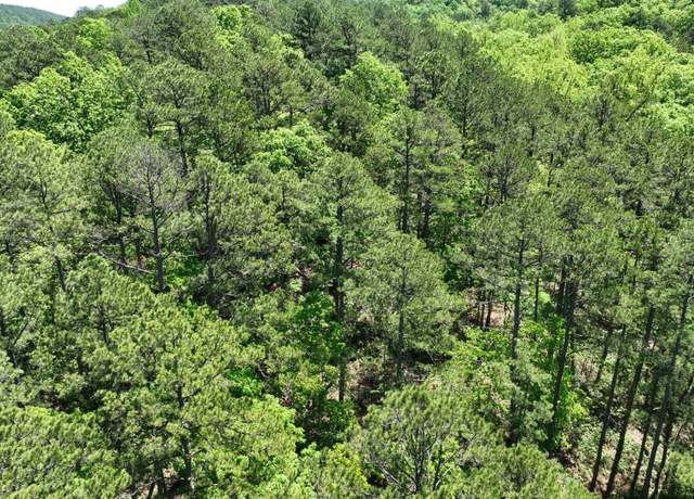 Property at Tbd (lot 7 & 8) Heather Ln, Mena, AR 71953