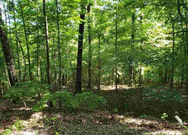 Property at Chautauqua Dr, Cherokee Village, AR 72529