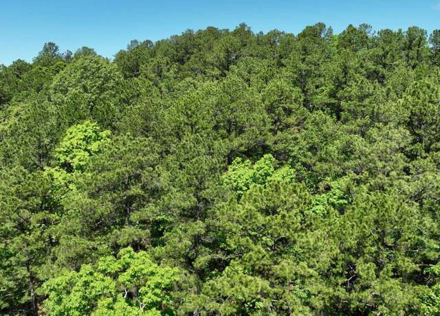 Property at Tbd (lot10) Heather Ln, Mena, AR 71953