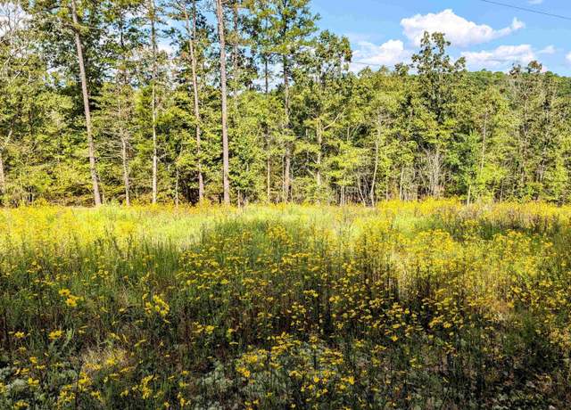 Property at 64 Letrista Way, Hot Springs Village, AR 71909