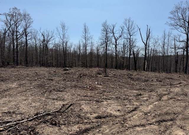 Property at 303 Mother Lode Dr, Horseshoe Bend, AR 72512