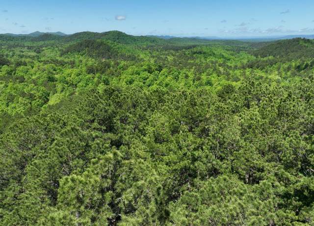 Property at Tbd Heather Ln Lot 11, Mena, AR 71953