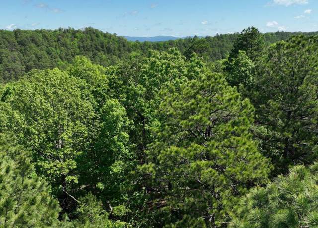 Property at Tbd Heather Ln Lot 12, Mena, AR 71953