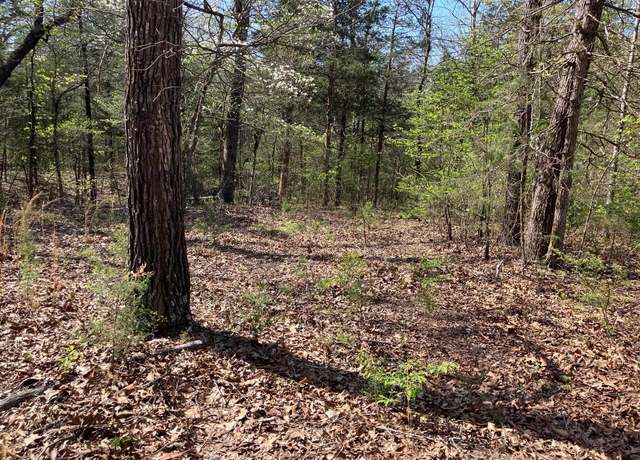 Property at S River Rd, Evening Shade, AR 72532