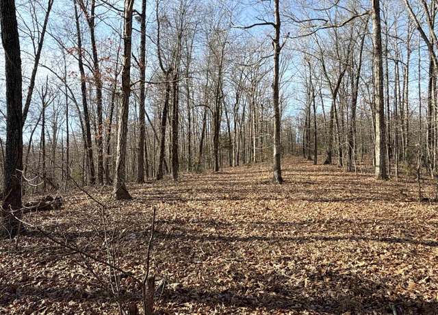 Property at 00 Axel Dr, Marshall, AR 72650
