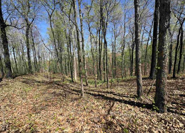 Property at 0 County Road 431, Pollard, AR 72456