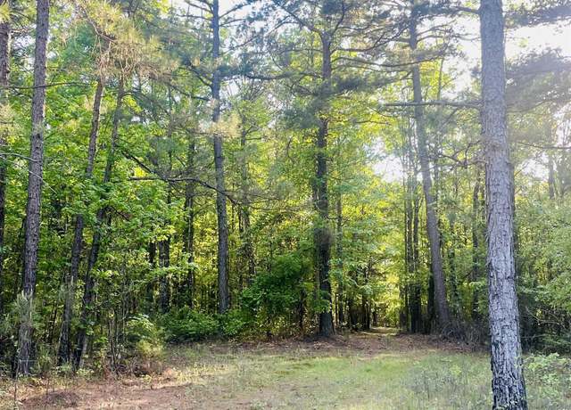 Property at Tbd Miller County 32, Doddridge, AR 71834