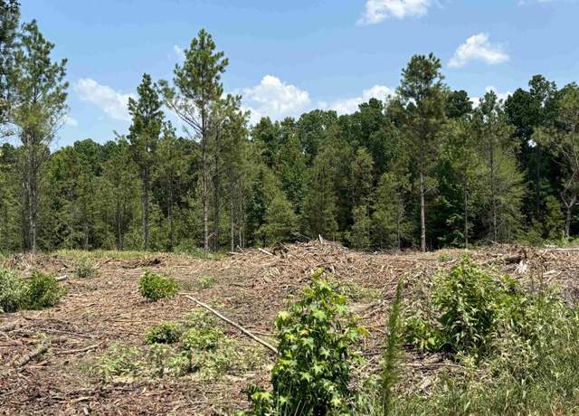 Property at 0 Grant 43 (b), Sheridan, AR 72150