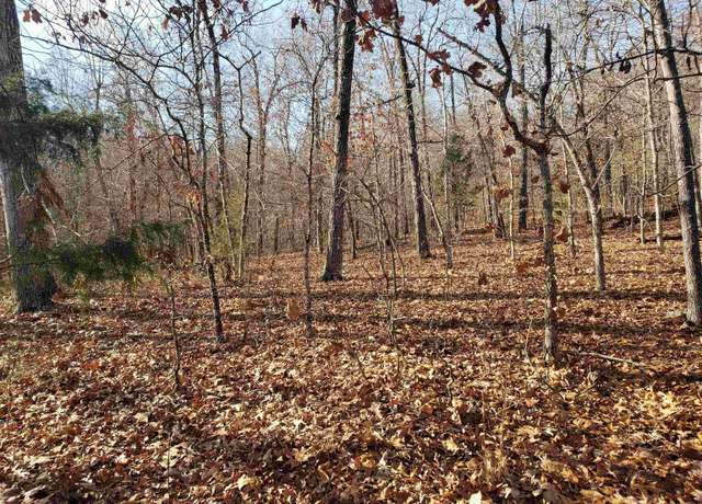 Property at L-61 & 62, B-7 Quenemo Trl, Cherokee Village, AR 72529