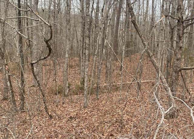 Property at 75 Mustang Dr Lot 75, Clinton, AR 72031
