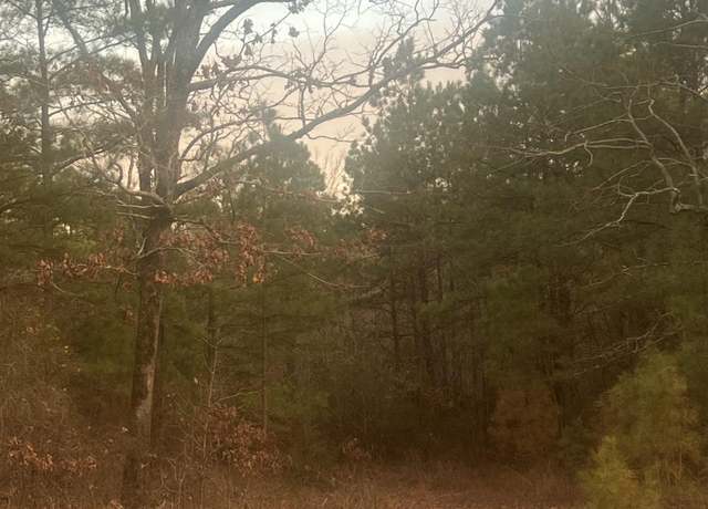 Property at Tbd 128 Highway, Bismarck, AR 71929