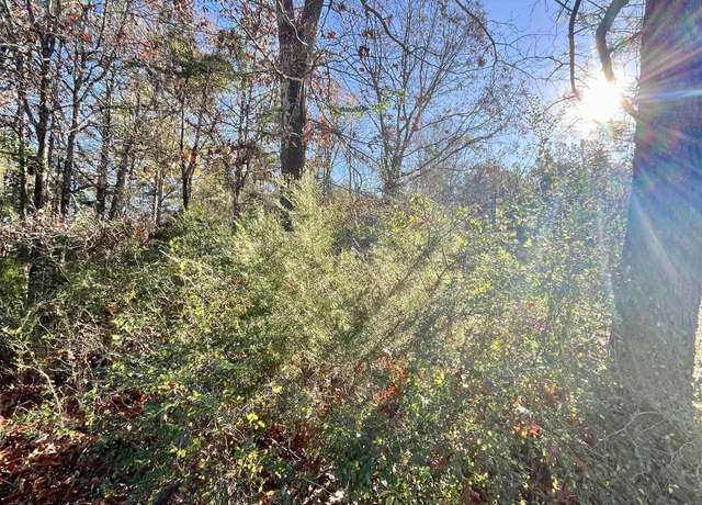 Property at 62 Dallas 409, Leola, AR 72084