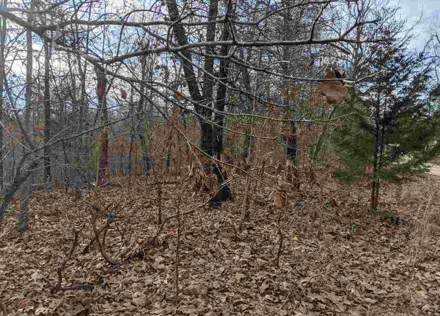 Property at Cherokee Acres Dr, Cherokee Village, AR 72529