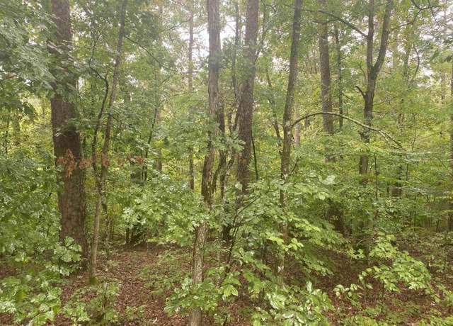 Property at 31 Marcos Pl Lot 31, Hot Springs Village, AR 71909