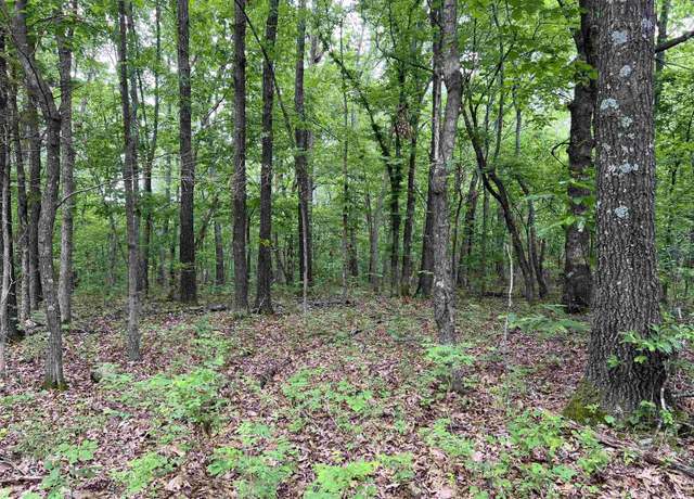 Property at 12 Acres On Meadow Creek Dr, Harrison, AR 72601