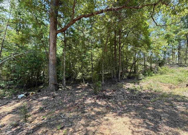 Property at 0 Grant 43 (f), Sheridan, AR 72150