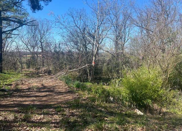 Property at 1301 Hawk Dr Dr, Horseshoe Bend, AR 72512