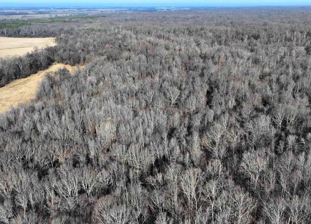 Property at 00 Lee 215 Rd, La Grange, AR 72352
