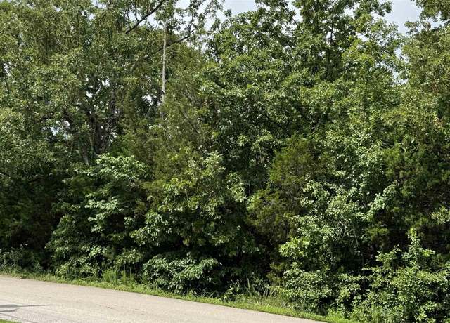 Property at 38 Pioneer Trl, Mountain Home, AR 72653