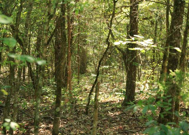 Property at 210 E Bo Peep Ln, Horseshoe Bend, AR 72512
