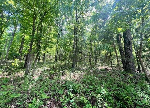 Property at Tbd Missouri Line Rd, Mammoth Springs, AR 72554