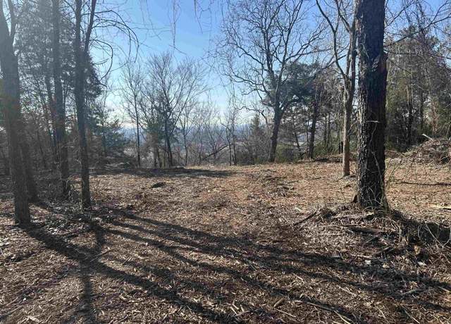 Property at 536 Leonard Ln, Pottsville, AR 72858