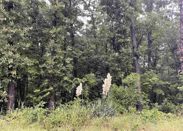 Property at Tbd Blackfoot Dr, Cherokee Village, AR 72529