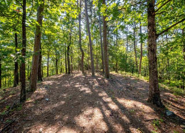 Property at 0 Burlingame Rd, Little Rock, AR 72223