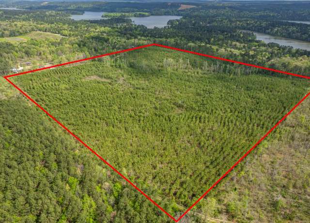 Property at Xxx Beech Dr, Bismarck, AR 71921