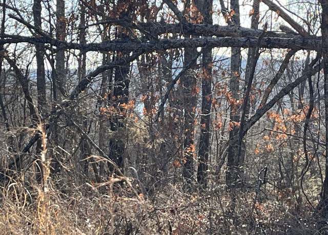 Property at Tract D & E Mc 8094, Flippin, AR 72634