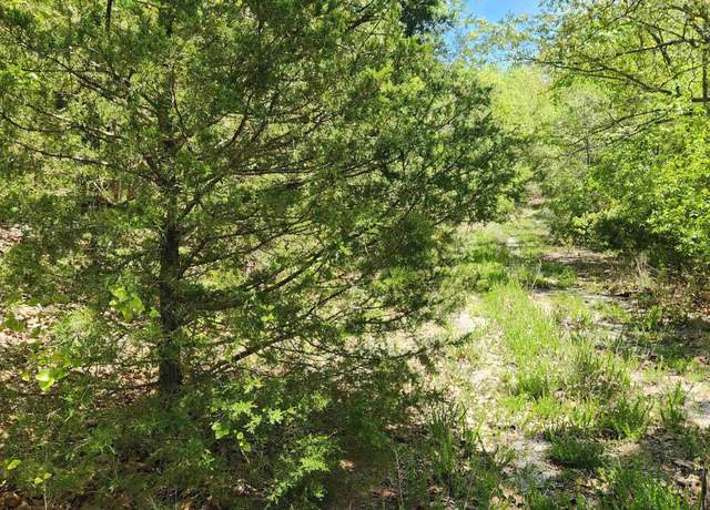 Property at L-61 B-1 Kayenta Cir, Cherokee Village, AR 72529