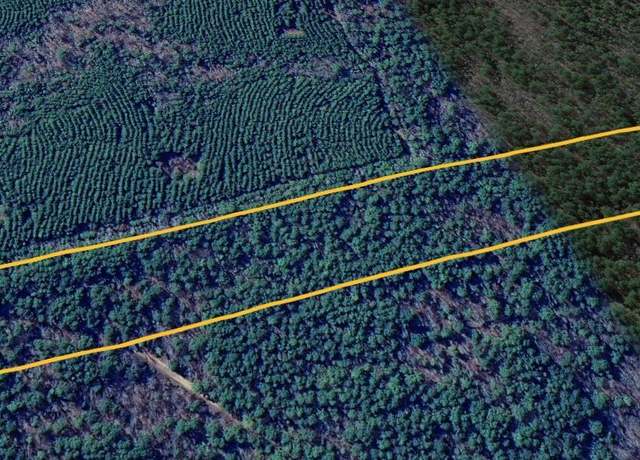 Property at Tbd Miller County 32, Doddridge, AR 71834