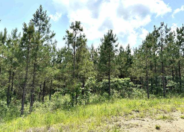 Property at 27 Grant County Road 763 Lot 27, Sheridan, AR 72150