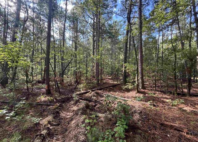 Property at S Tract Grant County Road 68, Sheridan, AR 72150
