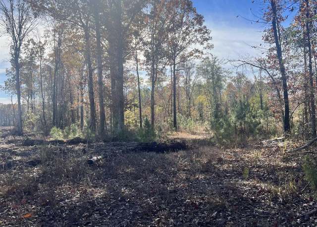 Property at 000 Larries Ln, Bauxite, AR 72011