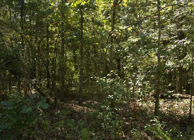 Property at 1505 Blackbird Ln, Horseshoe Bend, AR 72512