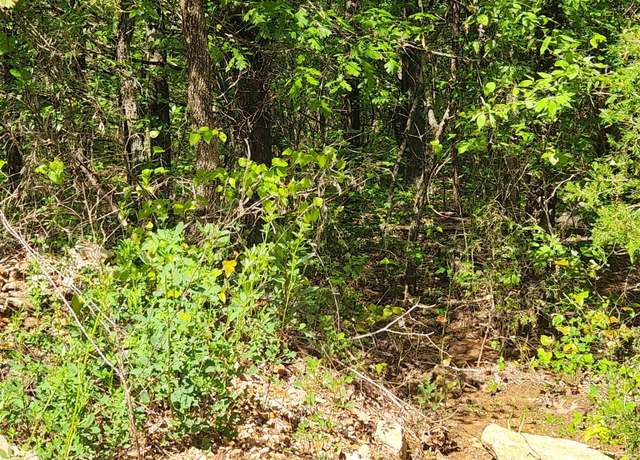 Property at Strawberry Valley Rd, Ash Flat, AR 72513