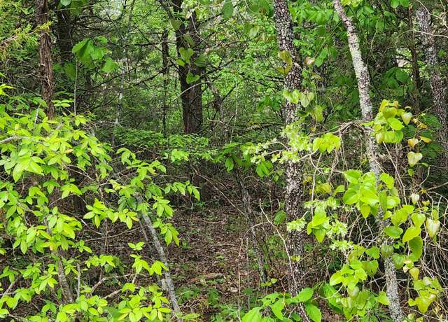 Property at Strawberry Valley Rd, Ash Flat, AR 72513