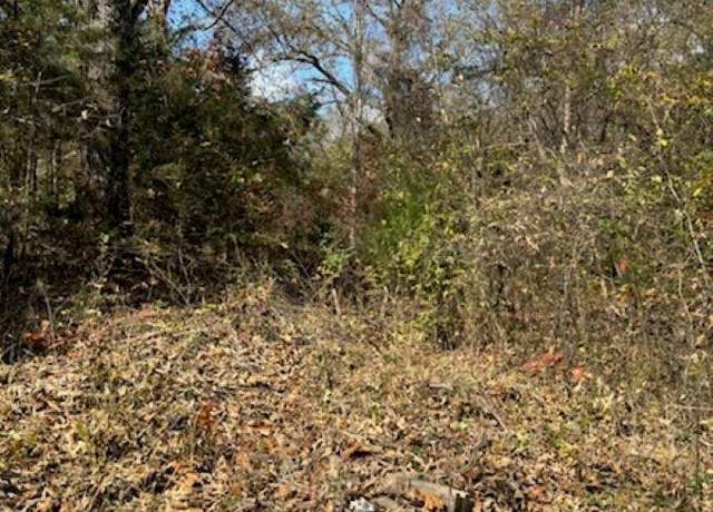 Property at 29 Walnut Cv Lot 29, Hardy, AR 72542